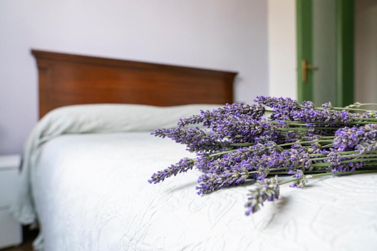 Lago Maggiore A 10 Minuti "Cascina Lavanda" Casalzuigno Екстер'єр фото